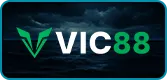 Giao Hữu Bóng Đá 11 vic88